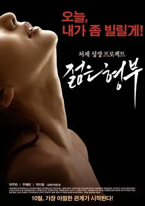 绝命毒师 电视剧海报